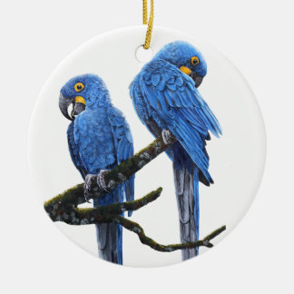 A pair of bright blue Hyacinth Macaws Ceramic Ornament