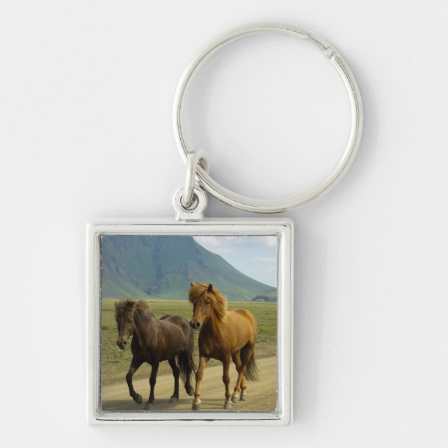 A Pair of Brown Icelandic Ponies Keychain (Front)
