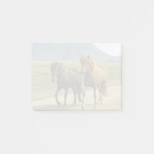 A Pair of Brown Icelandic Ponies Post-it Notes