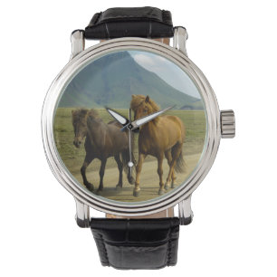 A Pair of Brown Icelandic Ponies Watch