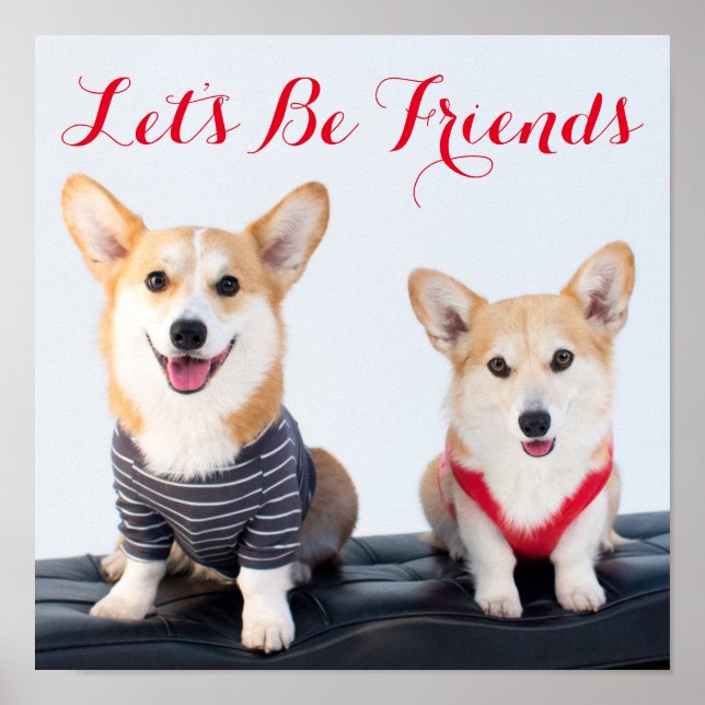 A Pair Of Corgis Sitting On A Bench Poster (Front)