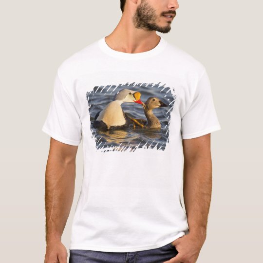 A pair of courting king eiders in a tundra pond T-Shirt