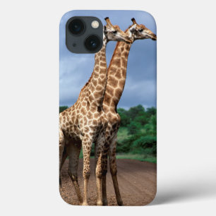 A Pair Of Giraffes On Road, Kruger National iPhone 13 Case