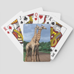 A Pair Of Giraffes On Road, Kruger National Playing Cards