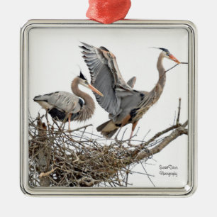 A pair of Great Blue Herons Metal Ornament