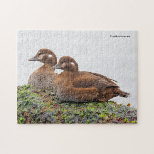 A Pair of Harlequin Ducks on the Rocks Jigsaw Puzzle