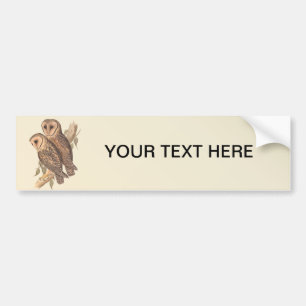 A Pair of Masked Barn Owls on a branch (painting). Bumper Sticker