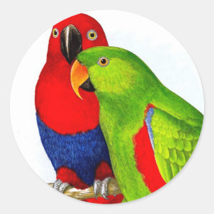 A Pair of Parrots Love Birds Classic Round Sticker