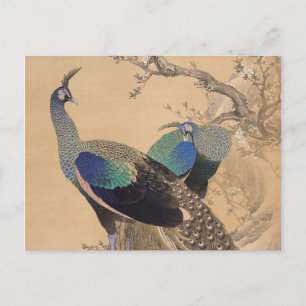 A Pair of Peacocks in Spring by Imao Keinen Postcard