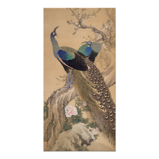 A Pair of Peacocks in Spring by Imao Keinen Poster (Front)