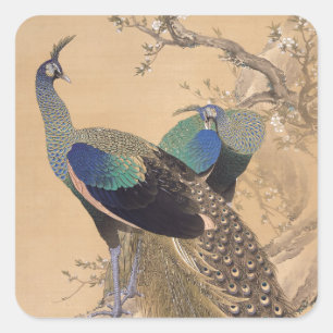 A Pair of Peacocks in Spring by Imao Keinen Square Sticker