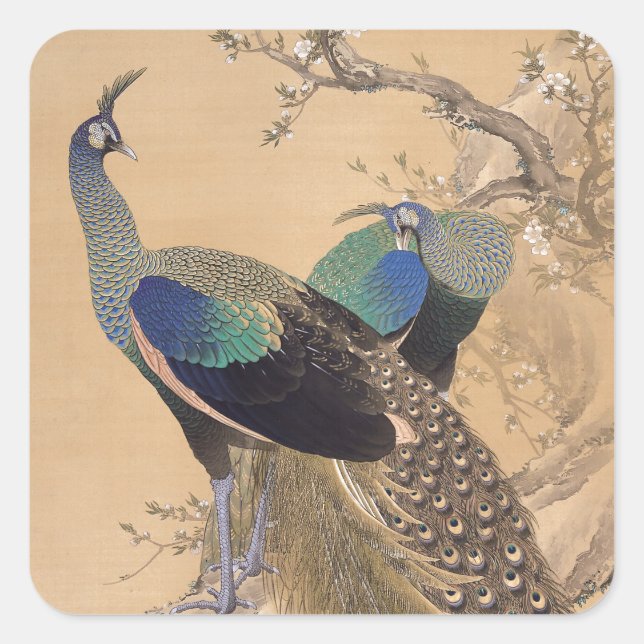 A Pair of Peacocks in Spring by Imao Keinen Square Sticker (Front)