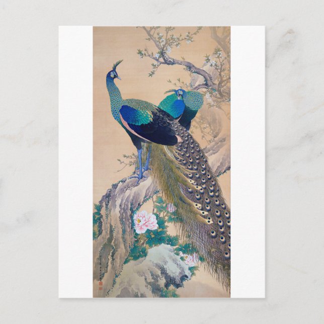 A Pair of Peacocks in Spring, Imao Keinen Postcard (Front)
