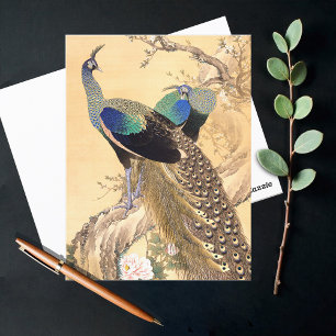 A Pair of Peacocks in Spring, Imao Keinen   Postcard