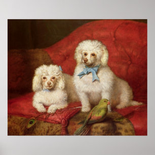 A Pair of Poodles Poster
