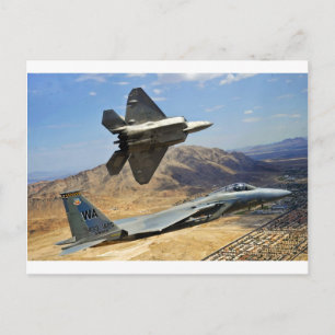 A PAIR OF RAPTOR'S POSTCARD