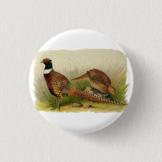 A pair of Ring necked pheasants in a grassy field 1 Inch Round Button (Front)