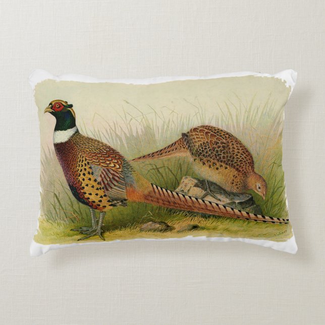 A pair of Ring necked pheasants in a grassy field Accent Pillow (Front)