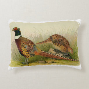 A pair of Ring necked pheasants in a grassy field Decorative Pillow