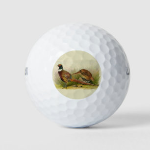 A pair of Ring necked pheasants in a grassy field Golf Balls
