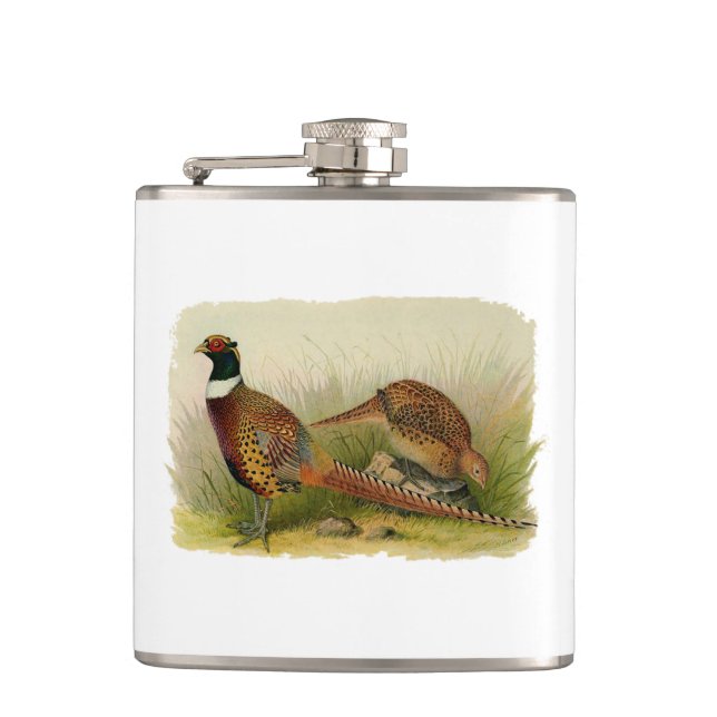 A pair of Ring necked pheasants in a grassy field Hip Flask (Front)