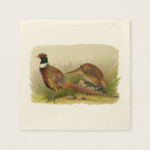 A pair of Ring necked pheasants in a grassy field Napkin