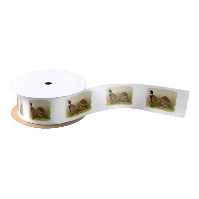 A pair of Ring necked pheasants in a grassy field Satin Ribbon (Spool)