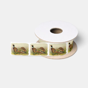 A pair of Ring necked pheasants in a grassy field Satin Ribbon