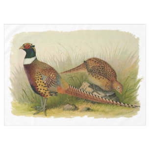A pair of Ring necked pheasants in a grassy field Tablecloth