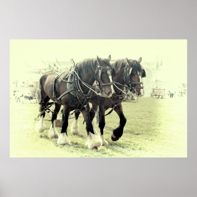 A PAIR OF SHIRES POSTER (Front)