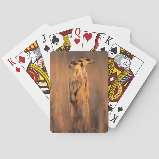 A pair of Suricates standing on a rock at sunset Playing Cards (Back)