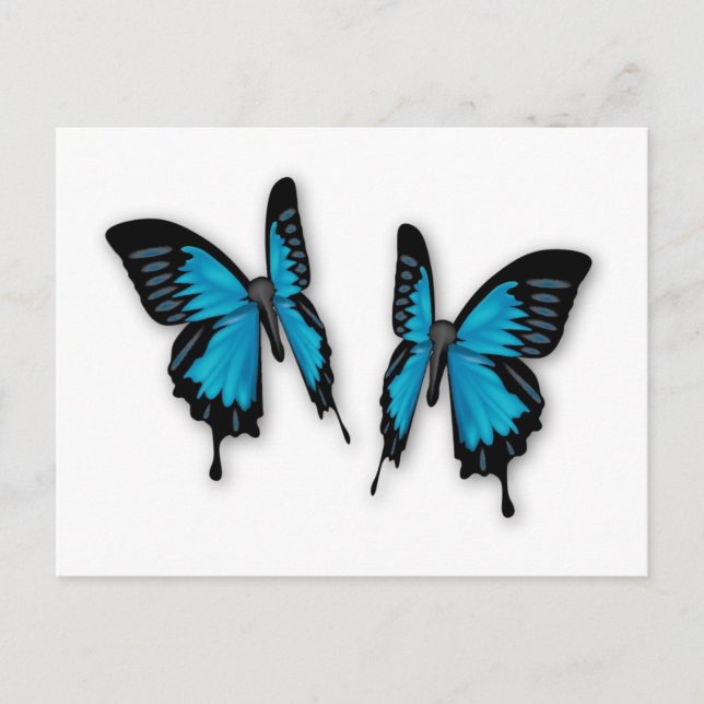 A Pair of Tropical Blue Butterflies Postcard (Front)