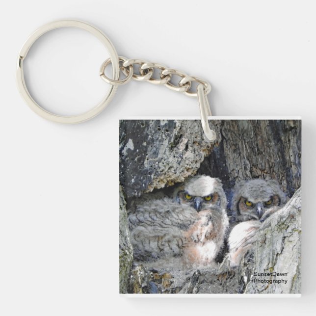 A pair of young owls keychain (Front)