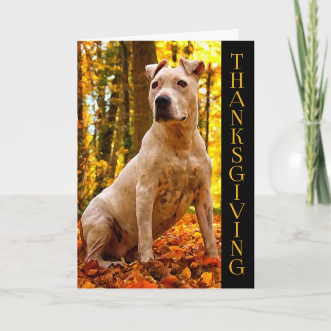 A-PAL -American Staff Dog | Thanksgiving Holiday Card (Front)