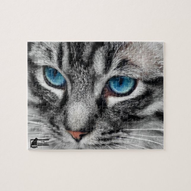 A-PAL - Silver Tabby Cat with Blue Eyes Close Up Jigsaw Puzzle (Horizontal)