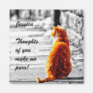 A-PAL Tinted Orange Tabby Cat Painting Custom Magnet