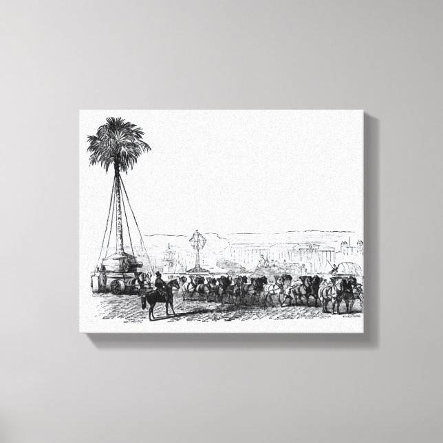 A palm tree being transported to Hyde Park for the Canvas Print (Front)