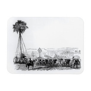 A palm tree being transported to Hyde Park for the Magnet