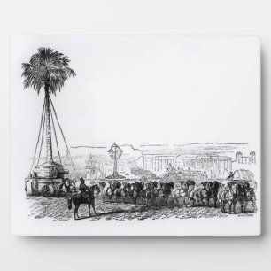 A palm tree being transported to Hyde Park for the Plaque