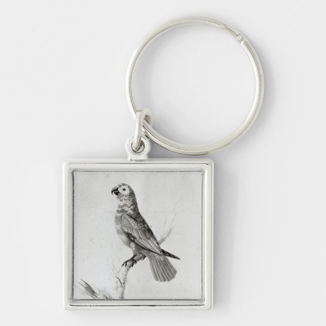 A Parrot, 1786 Keychain (Front)