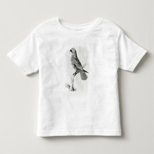 A Parrot, 1786 Toddler T-shirt