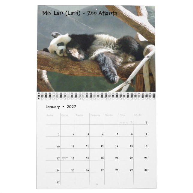 A Passion for Pandas!, 2009 Calend... - Customized Calendar (Jan 2027)