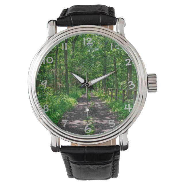 A path in the green forest watch (Front)