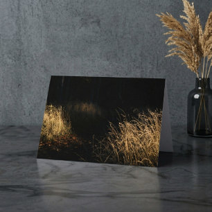 A path through a forest golden grass in sunlight card