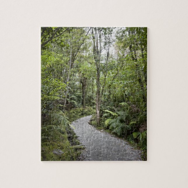 A path through a rain forest at the base of jigsaw puzzle (Vertical)
