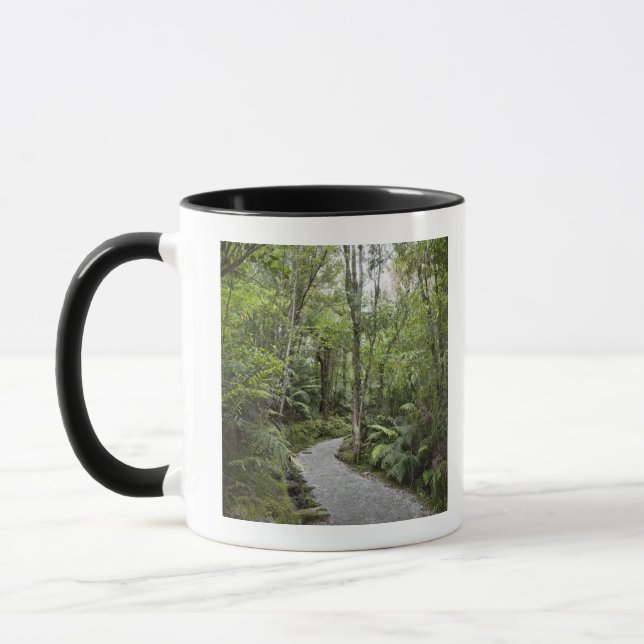 A path through a rain forest at the base of mug (Left)
