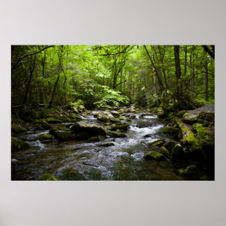 A Peaceful Smoky Mountain Stream Poster