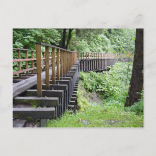 A Peaceful Walk Postcard