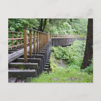 A Peaceful Walk Postcard