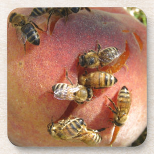A Peach For The Bees Coaster